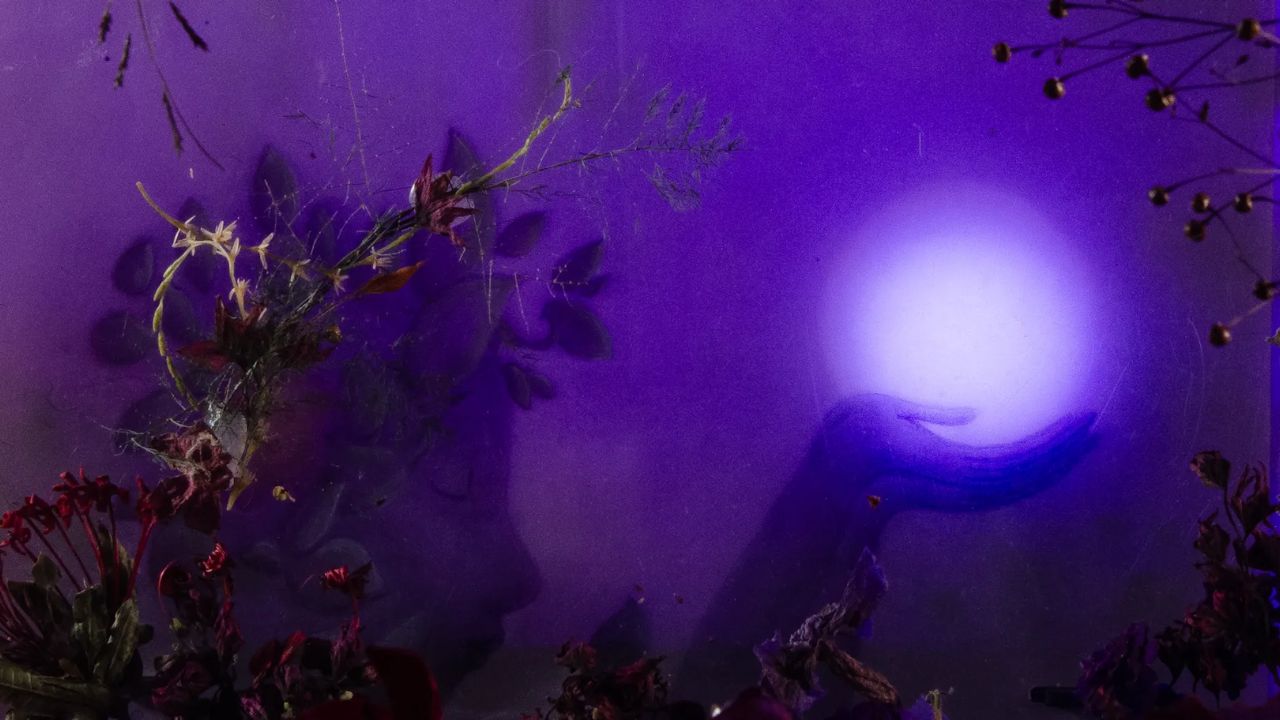 Safo (Dir. Rosana Urbes, Brasil)