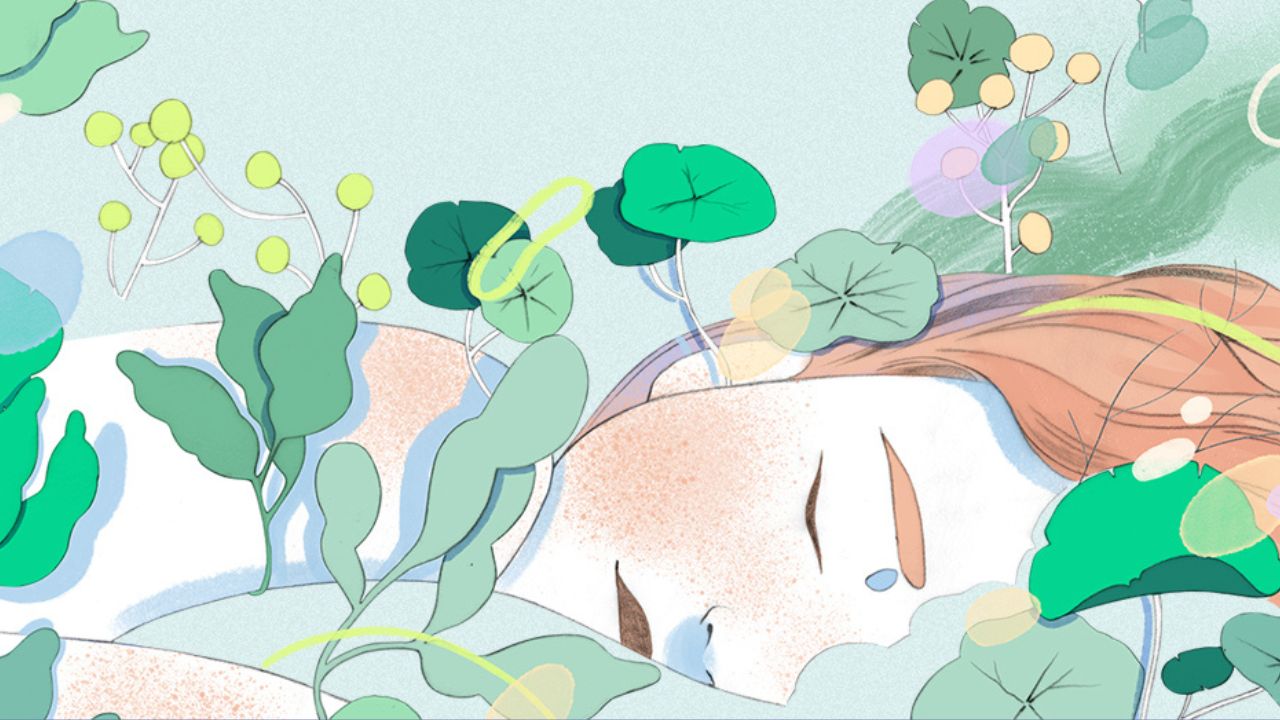 Animagoria dedica su primera exposición propia a las mujeres de la animación portuguesa