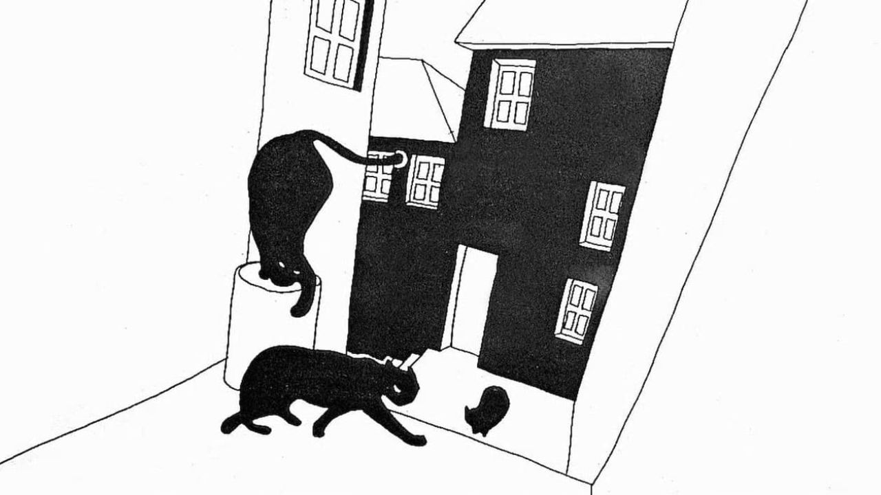 Estória do Gato e da Lua celebra 30 años con libro y nueva versión animada Estória do Gato e da Lua celebra 30 años con libro y nueva versión animada