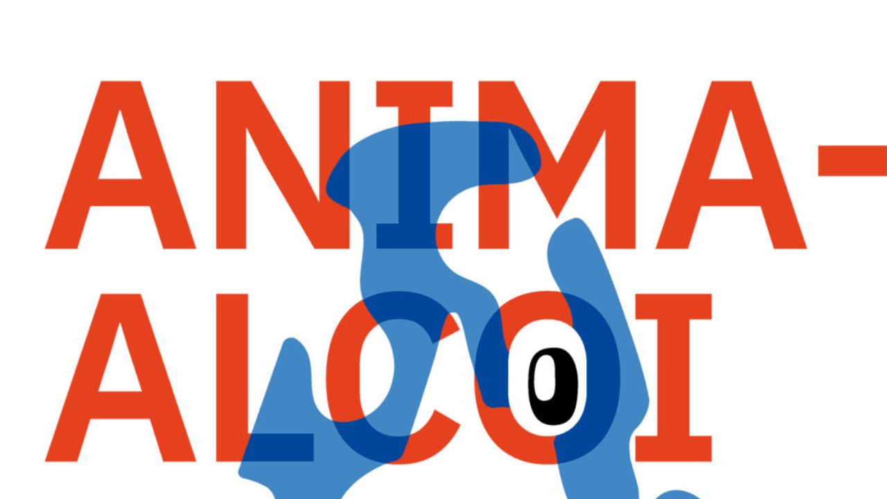 Animalcoi arranca su edición 2026 con la apertura de su convocatoria