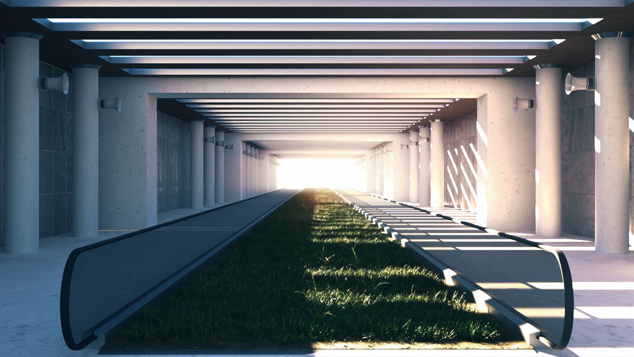 The Untranslatable Forest Ivan Miguel Andy Camou cortometraje animación