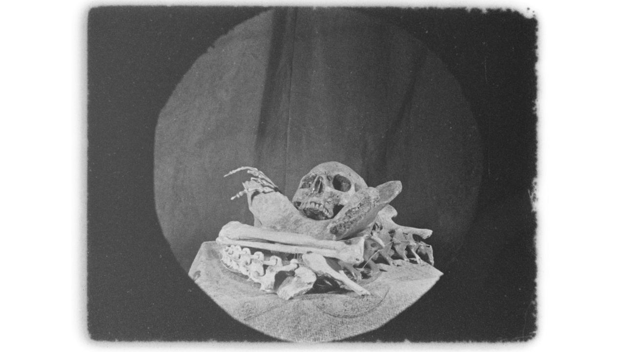 Los huesos Cristóbal León Joaquín Cociña Diluvio Pista B Chile animación stop motion