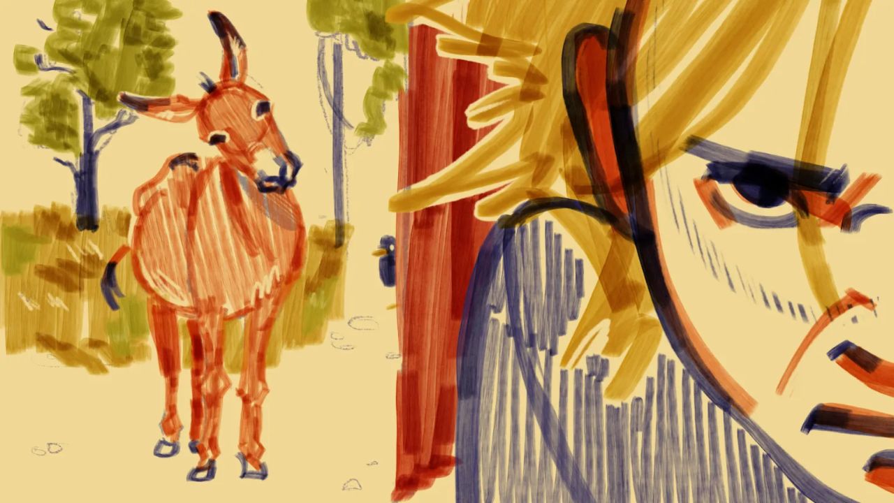 Academia de Animação Programa de Criação O Burro do Meu Vizinho Leo Guia Portugal