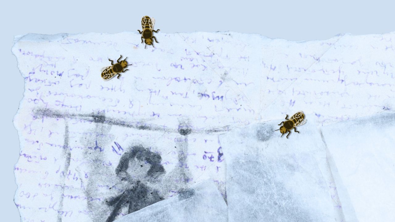 Donde duermen las abejas comparte nuevas imágenes y pruebas de animación