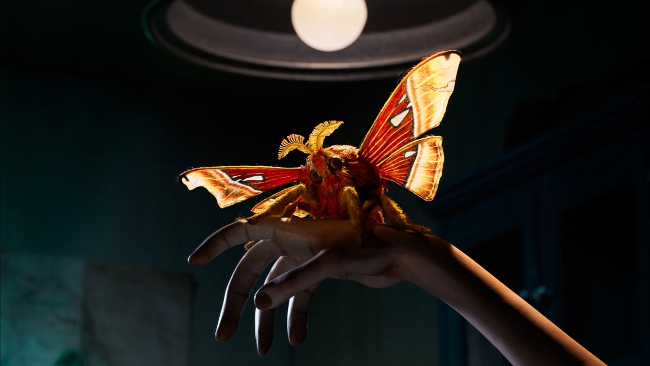 Insectario Sofía Carrillo Inicia Films Pimienta Films España México Animación stop motion insecto