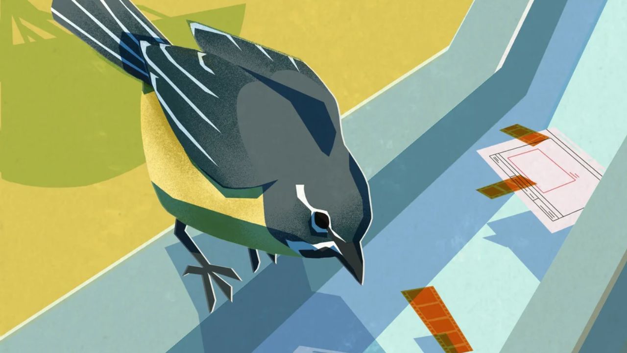 David Baute y Carlos Miranda encabezan la primera edición del foro de animación Tajea